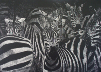 Illustrations artwork 2 — Mary Caia