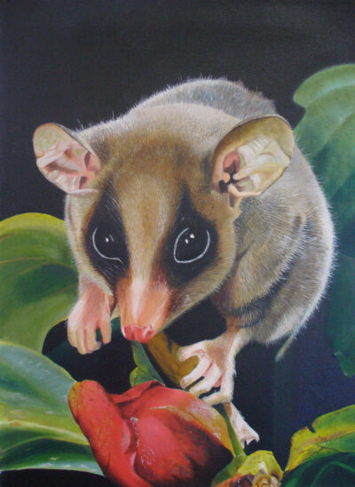 Illustrations artwork 8 — Mary Caia