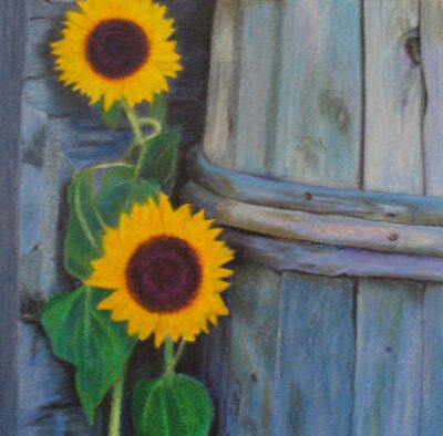Illustrations artwork 7 — Mary Caia